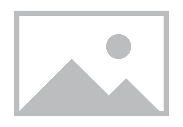 A Practical Guide to AI: Learning, Application, and Real-World Practice - Artificial Intelligence article